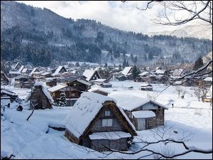 Japonia, Drewniane, Prefektura Gifu, Góry, Wieś Shirakawa, Domy, Śnieg, Zima, Drzewa