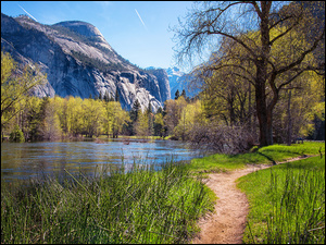 Stany Zjednoczone, Góry, Kalifornia, Wiosna, Rzeka Merced River, Drzewa, Ścieżka, Park Narodowy Yosemite, Trawa