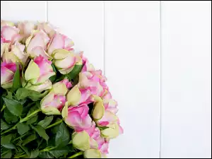 Biało-różowe róże na jasnych deskach