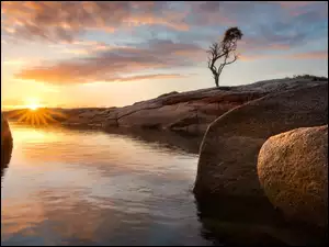 Drzewo, Australia, Morze, Wschód słońca, Tasmania, Skały, Chmury, Binalong Bay