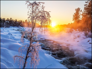 Ośnieżona rzeka Juutua w Laponii o wschodzie słońca