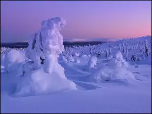 Zima na Półwyspie Kola w Rosji