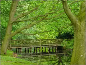 Drewniany mostek na rzece w parku