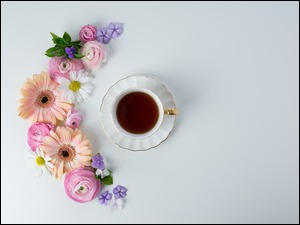 Kwiaty, Jaskry, Filiżanka, Herbata, Gerbery