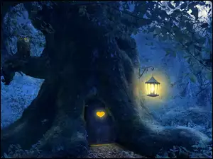 Drzewo, Noc, Sowa, 2D, Drzwi, Lampion