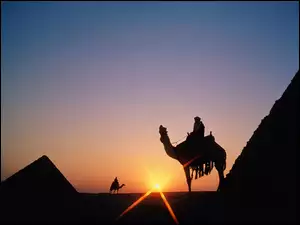 Egipt, Zachód Słońca, Piramidy, wielbłądy