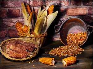 Kolby i ziarna kukurydzy w koszu