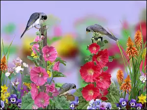 Grafika, Kwiaty, Malwy, Ptaki
