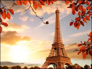 Wieża Eiffla, Jesień, Liście, Francja, Gałązki, Paryż
