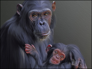 Szympans z młodym