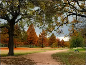 Jesienny krajobraz w parku