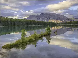 Świerki, Mount Rundle, Drzewa, Kanada, Odbicie, Jezioro Two Jack Lake, Park Narodowy Banff, Góry, Prowincja Alberta