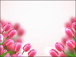 2D, Kwiaty, Różowe, Tulipany