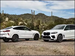BMW X6 M, Competition, Białe, Dwa, BMW X5 M