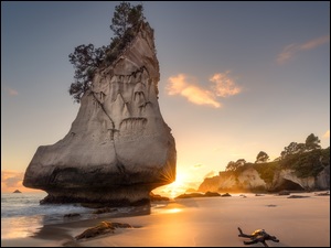 Wschód słońca, Morze, Plaża, Półwysep Coromandel, Skała, Drzewa, Nowa Zelandia, Te Hoho Rock