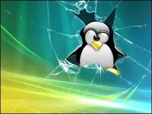 Linux, rozbicie Tła na Facebooka, Pingwin, Vista
