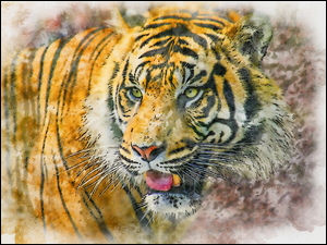 Graficzny tygrys