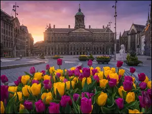 Pałac Królewski, Zachód słońca, Amsterdam, Holandia, Tulipany