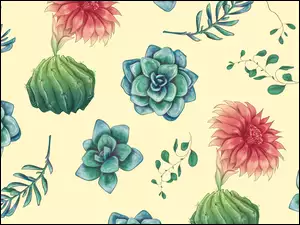 Tekstura, Kwiaty, Liście, Kaktusy