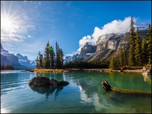 Prowincja Alberta, Kanada, Góry, Drzewa, Park Narodowy Jasper, Jezioro Maligne