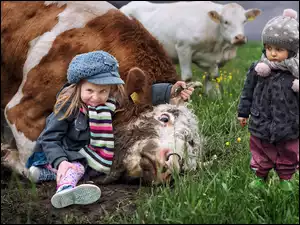 Dzieci i krowy na łące