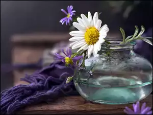 Kwiaty w szklanym wazoniku