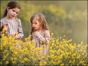 Rzepak, Dzieci, Dziewczynki, Kwiaty