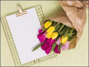 Tulipany, Kartka, Kolorowe, Kwiaty, Papier