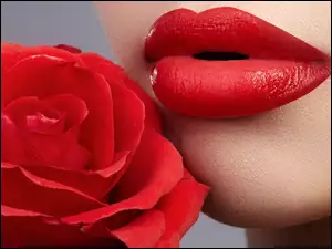 Czerwona róża do czerwonych kobiecych ust