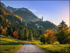 Wschód słońca, Skały, Wzgórza, Góry, Bawaria, Niemcy, Jesień, Zamek Neuschwanstein, Drzewa, Droga