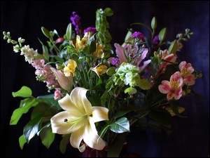 Alstremeria, Bukiet, Kwiatów, Lilia