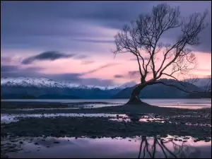 Jezioro Wanaka w Nowej Zelandii zimą