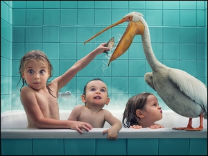 Pelikan, Zabawne, Kąpiel, Dzieci, Rybka