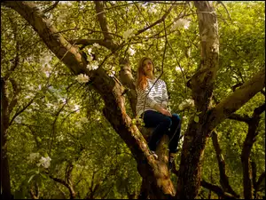Dziewczyna siedząca na drzewie jabłoni
