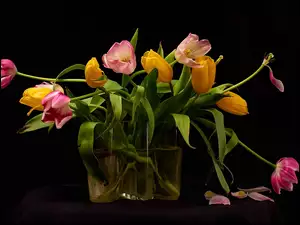 Wazon, Bukiet, Kwiaty, Tulipany
