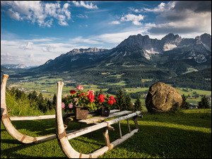 Sanki, Pelargonie, Alpy, Austria, Góry, Tyrol
