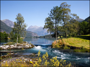 Drzewa, Góry, Rzeka Stryneelva, Norwegia, Kamienie, Gmina Stryn