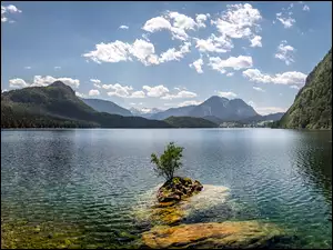 Drzewa, Austria, Góry, Chmury, Styria, Las, Jezioro Altausseer, Altaussee