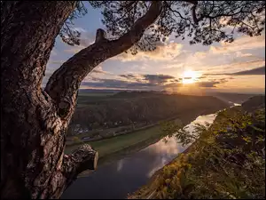 Łaba, Drzewo, Rzeka, Niemcy, Wschód słońca