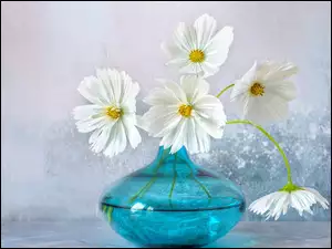Bukiet białych kwiatów w niebieskim szklanym wazonie