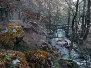 Rzeka Burbage Brook, Drzewa, Anglia, Mostek, Hrabstwo Derbyshire, Grindleford, Kamienie
