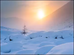 Śnieg, Zima, Mgła, Wschód słońca, Góry, Drzewo