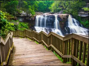 Wirginia Zachodnia, Park stanowy Blackwater Falls, Schody, Stany Zjednoczone, Drzewa, Las, Wodospad Blackwater Falls
