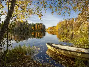 Na jeziorze łódka otoczona brzozowym lasem