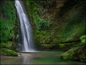 Wodospad Te Ana Falls na Szlaku turystycznym Tangoio Falls Reserve w Nowej Zelandii