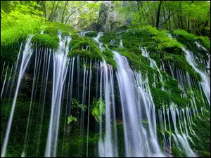 Leśny wodospad z mchem