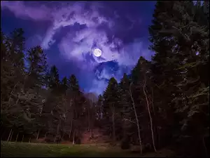 Księżyc w pełni i chmury nad lasem