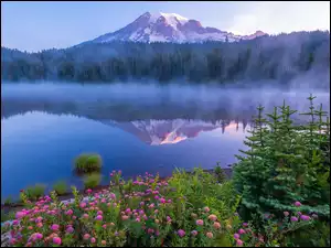 Stratowulkan Mount Rainier odbity w jeziorze