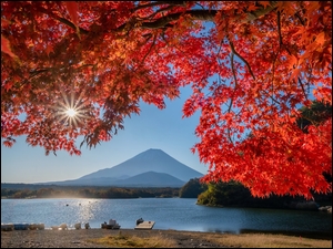 Zwisające gałęzie z czerwonymi liśćmi i góra Fudżi w oddali