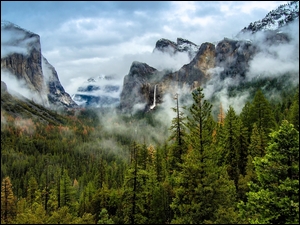 Drzewa, Stany Zjednoczone, Góry, Dolina, Kalifornia, Skały, Mgła, Park Narodowy Yosemite